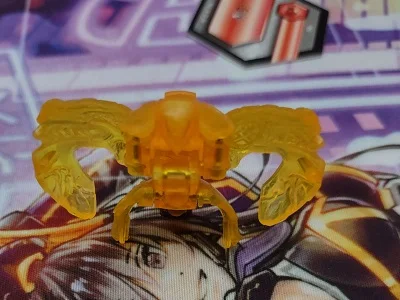 Pyrus Echo