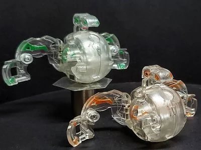 Clear Brontes